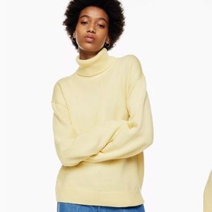 Wilfred Knit turtleneck